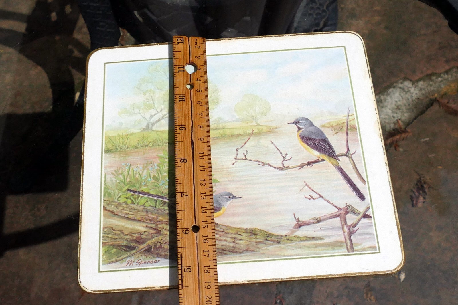 Mark Spencer Bird Mat  cork backed coater 7X9" placemat by M. Spencer