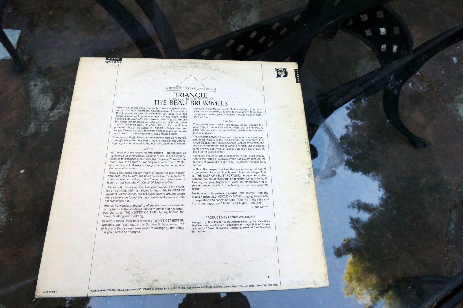 Original The Beau Brummels Triangle LP Album 1967 Warner Bros WS 1692