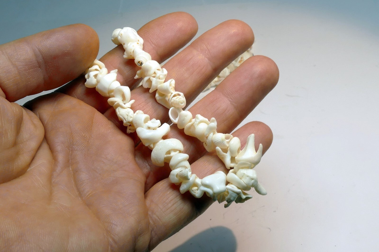 Cowrie Shell 17" Necklace Lei Jewelry Boho Surfer White ocean pacific hawaii