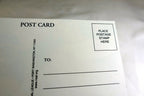 Greeting Postcard Animal Shelter North Shore League Dog Puppy Adopt a Pet! 1980'
