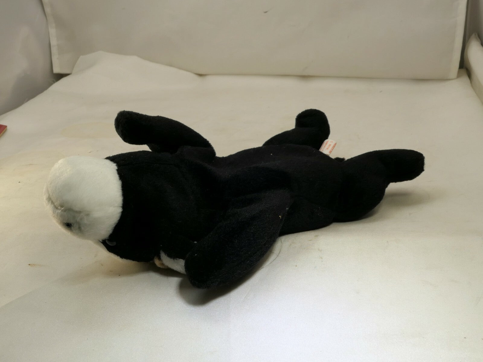 TY Daisy Beanie Baby  Tag Year 1993 5-10-1994 ERROR  Plush Toy black white cow