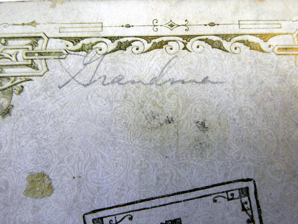 Picture of  Lady ANTIQUE Photograph 6X4" Silver Gel Print Walter's Studio 1900