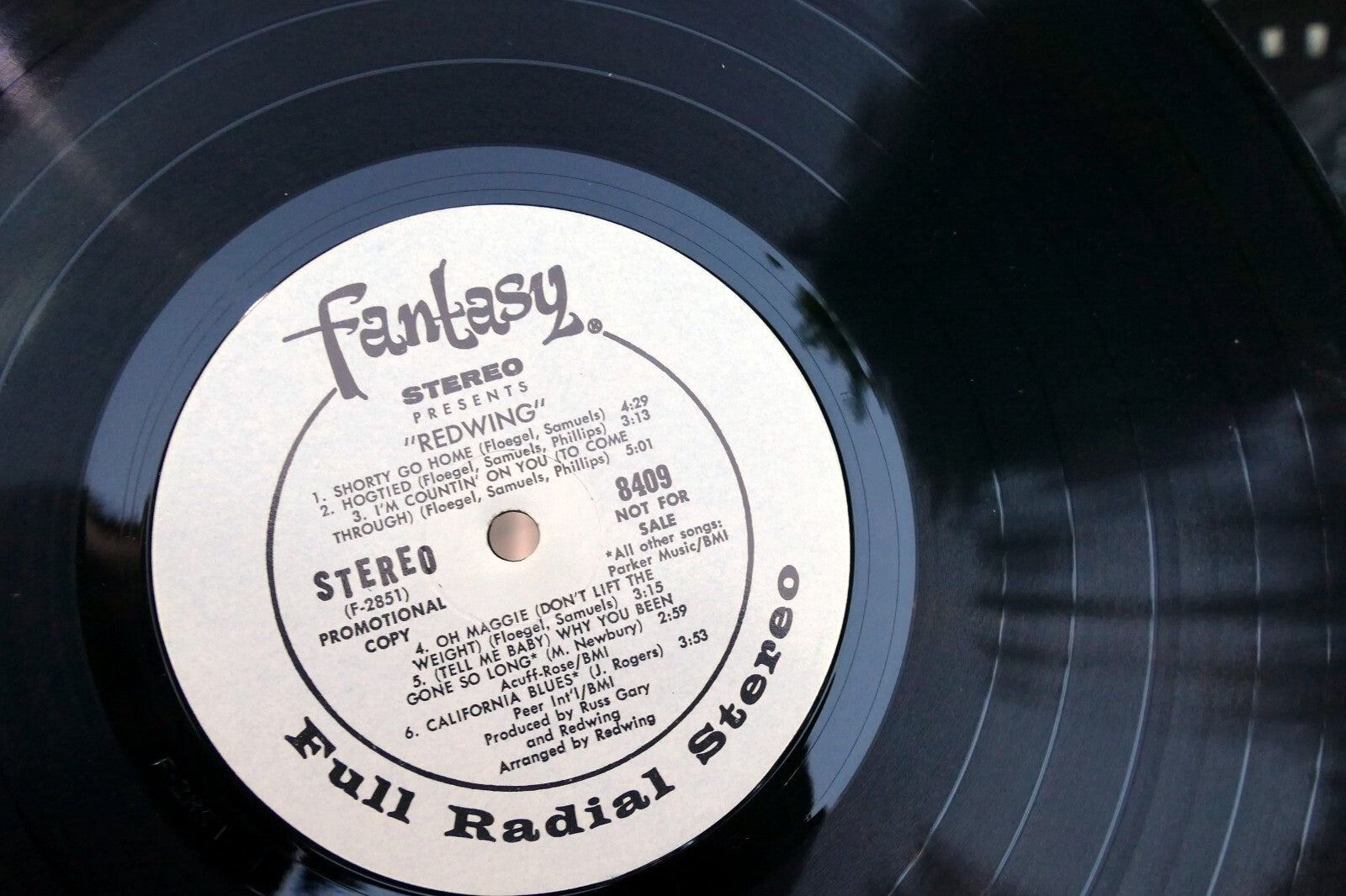 REDWING Hard Folk Psych Vocal Album-FANTASY 8409 VG 1973 Warner Bros. Records LP