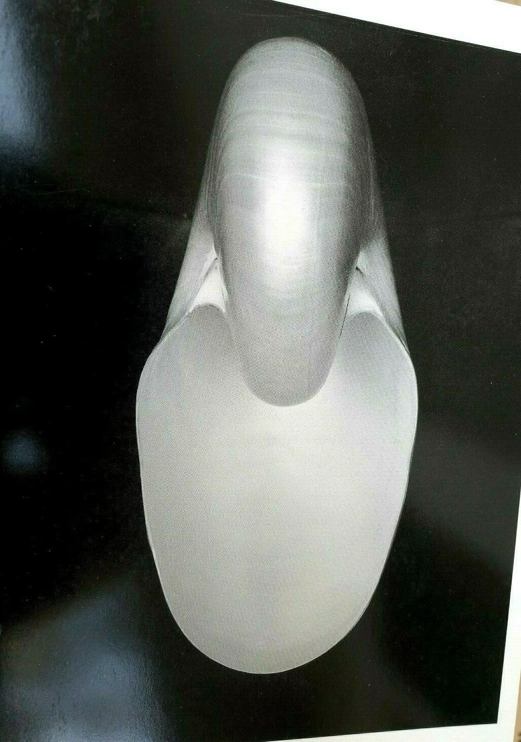 Shells 1927 1 s photograph by edward weston greeting card unposted w 001 75