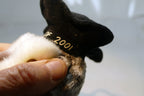 2000 TY Beanie Babies - Smart Owl Class of 2001