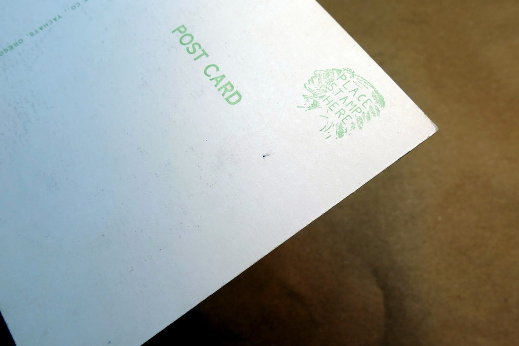 c1940's "I'm Just Taking it Easy" (William Standing) Humor Comic Postcard 