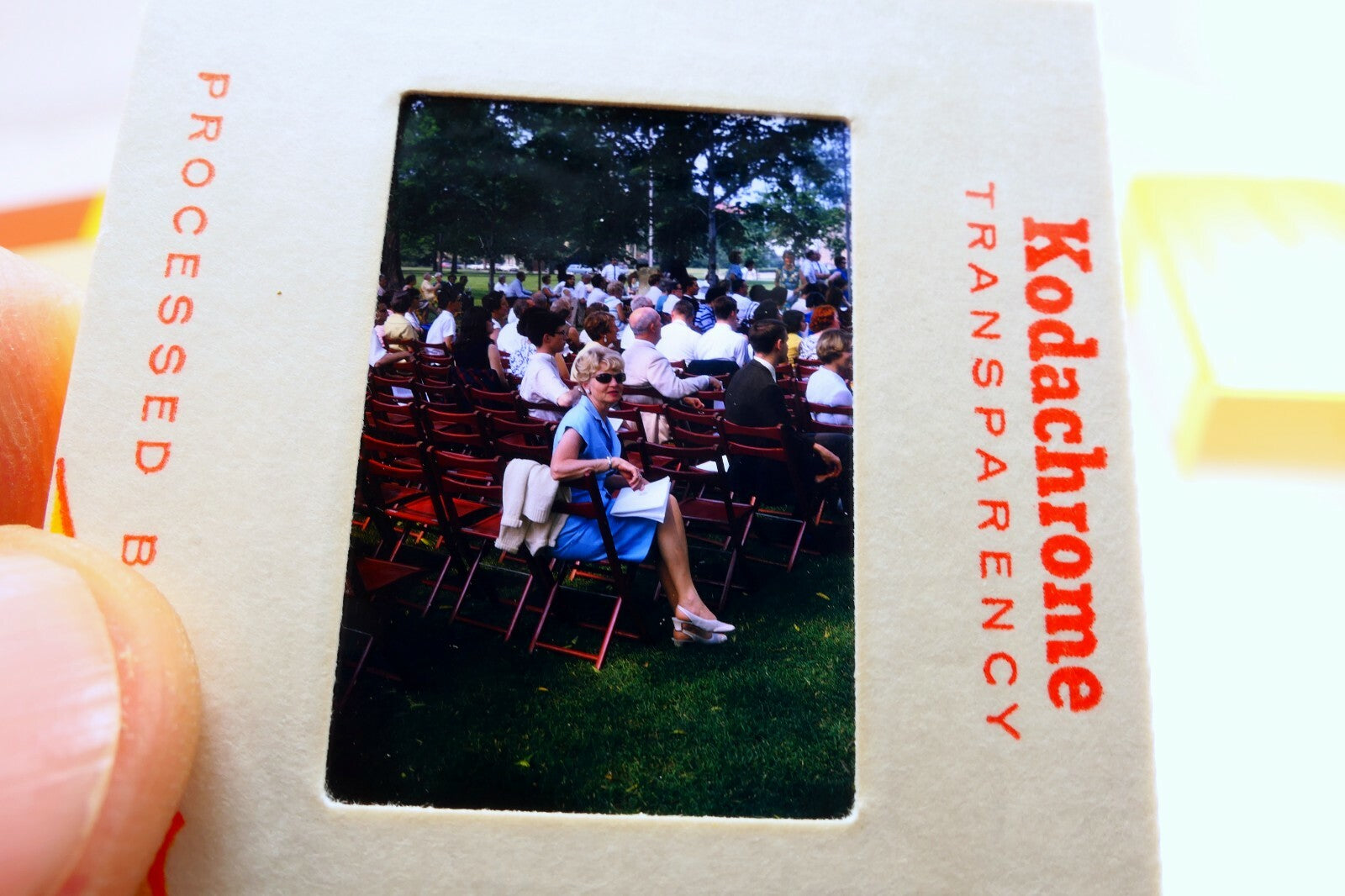 Kodak Slides 1968 Jennings Law UC Berkeley school graduation  pictures