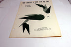 She Serves a Nice Cup of Tea Sid Wayne Bix Reickner  1958 Sheet Music