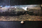 WWI Peace Poster reprint White flag solder surrender