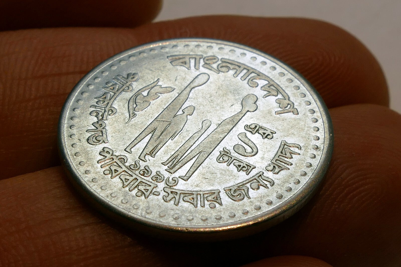 Metal Coin Asia with family &  lotus two adults and two kids
