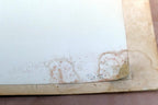 original artwork by artist  Rodeo Rider by Dick Rienstra Lithograph 10X20"