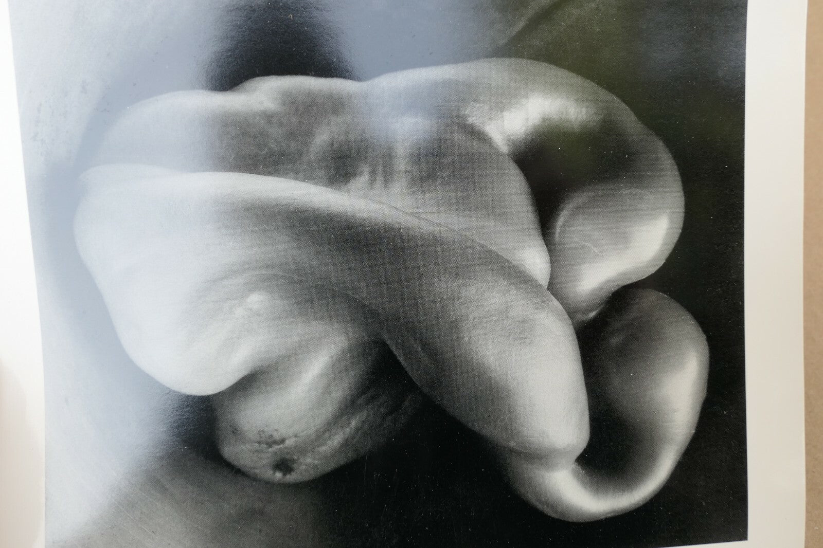 Pepper 30-P 1930 Photograph by Edward Weston unposted EW-003-85 Greeting card