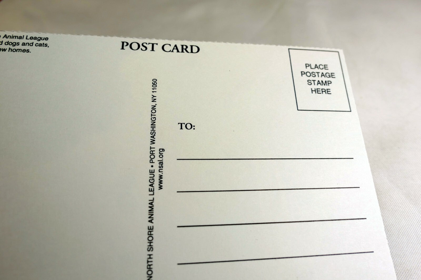 Postcard Animal Shelter North Shore League Adopt a Pet Kitten Cat vintage 1980's