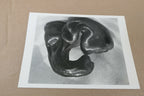 Pepper 5-P 1929 Photograph by Edward Weston Greeting Card unposted EW-005-85
