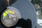 Savoy Brown Street Corner Talking USA 12” Vinyl Parrot – PAS-71047 SAHS-1600-TH