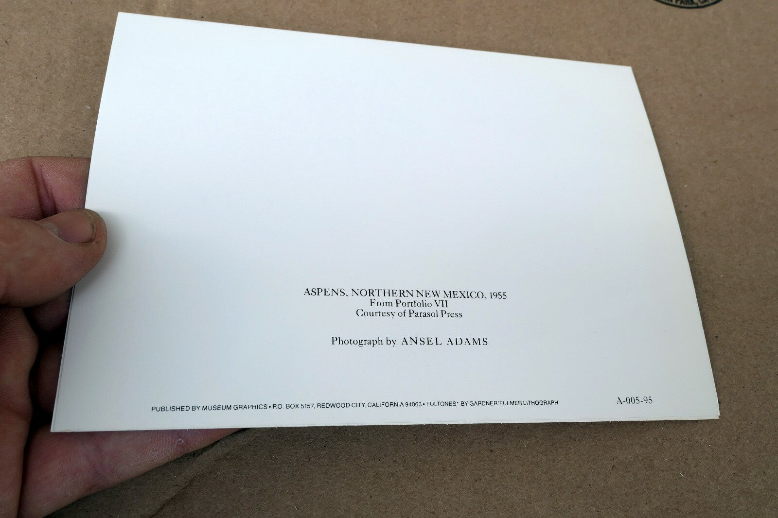 Aspens Northern New Mexico 1955 photograph by Ansel Adams A-005-95 greeting card