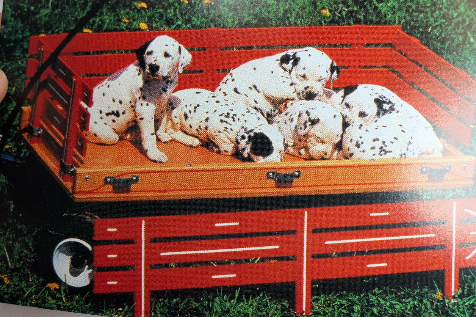 Greeting postcard animal shelter north shore league dog puppies in a wagon 1980'