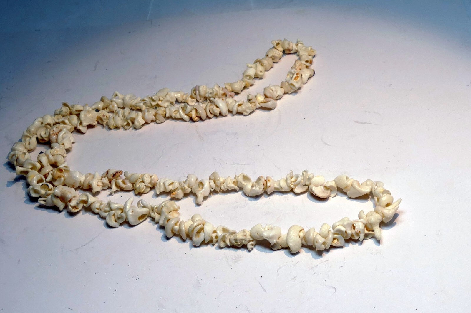 Cowrie shell 17" necklace lei jewelry boho surfer white ocean pacific hawaii