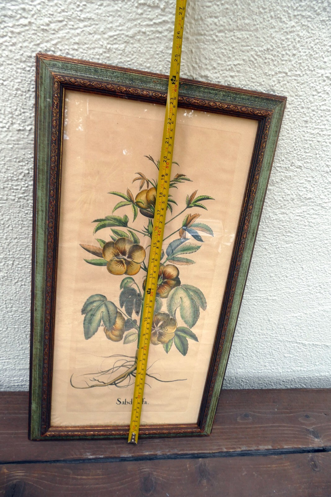 Edizioni Ponte Vecchio Sabdariffa Botanical Floral Print 14X25" Framed