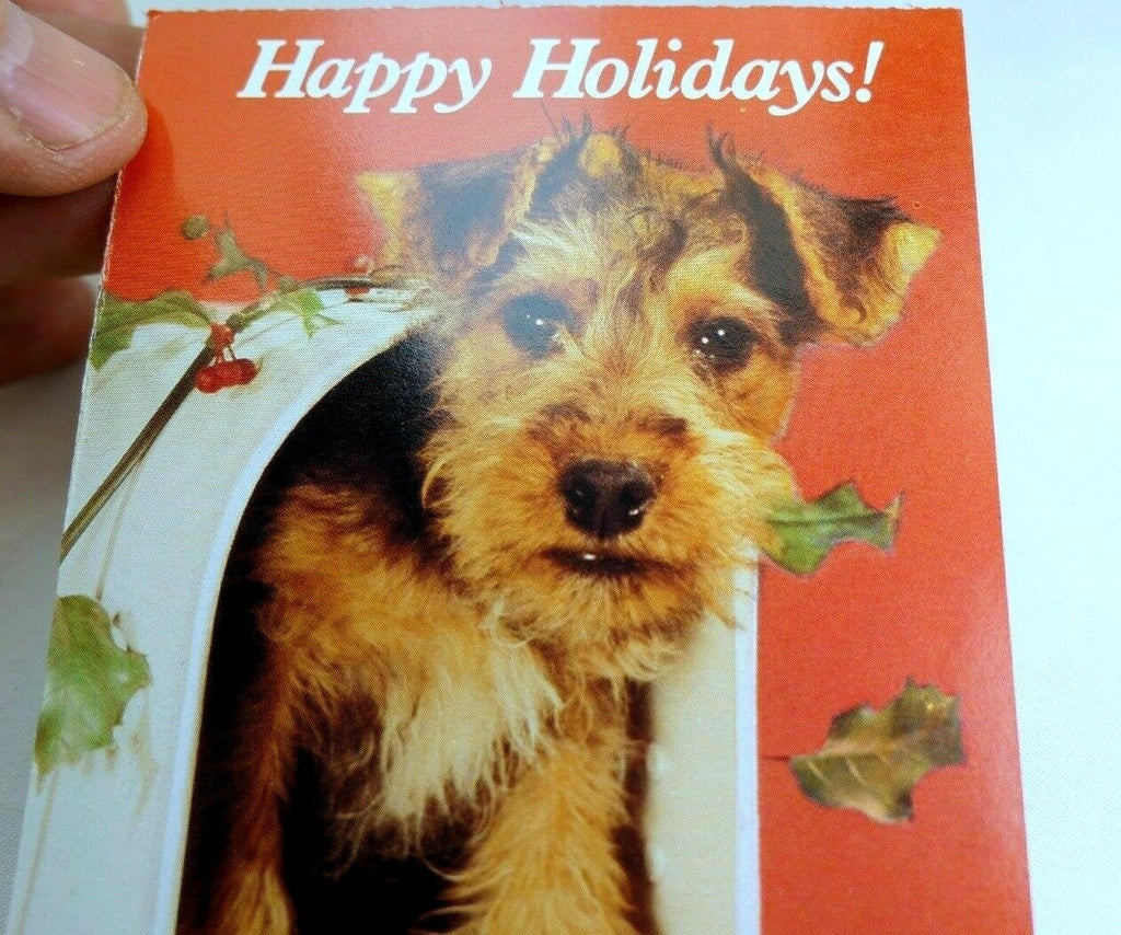 Happy birthday postcard animal shelter north shore league puppy terrier adopt