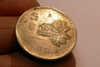 1981 BANCO OF MEXICO $5 PESOS COIN