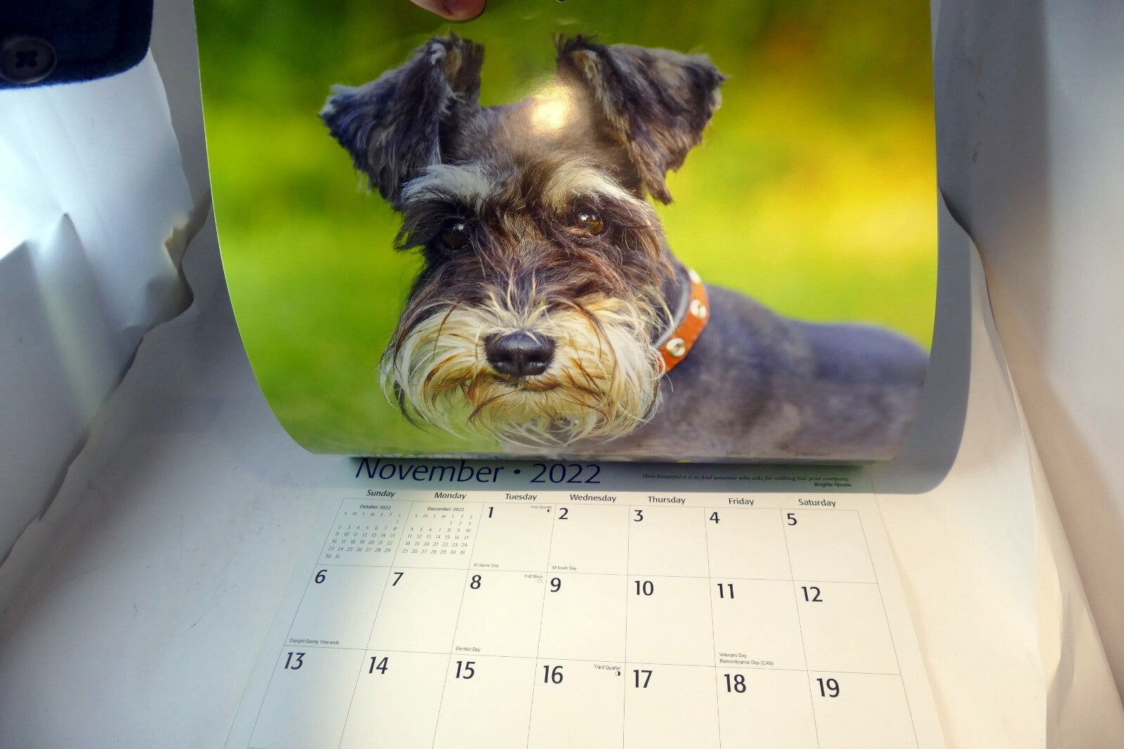2022 Miniature Calendar puppy dog pics Red Ember family series