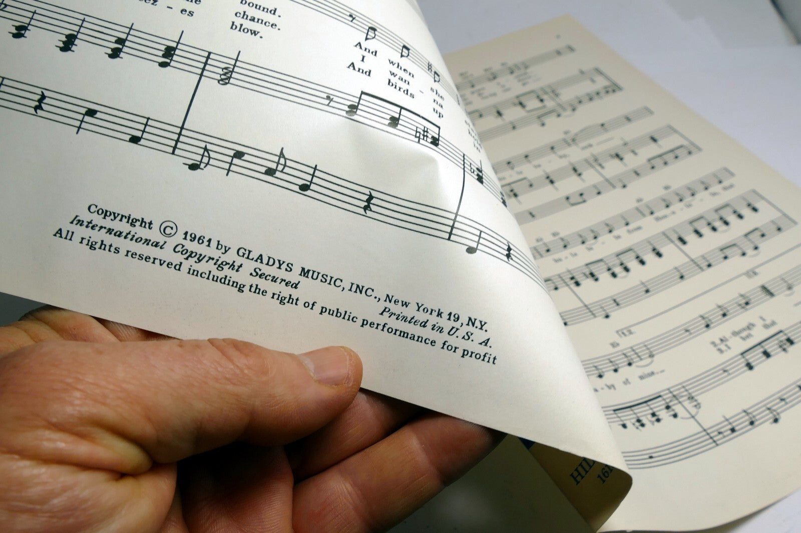 Rock-A-Hula Baby 1961  Sheet Music Wise Weisman Fuller by Elvis Presley