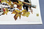 John James Audubon Folio Plate #111 Pileated Woodpecker 7X11" small