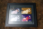 Goat photo art framed with glass 13X16" large collage animal farm pet