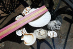 7oz  lot of Ocean Shell Seashell Corral California San Francisco for Fish Tank