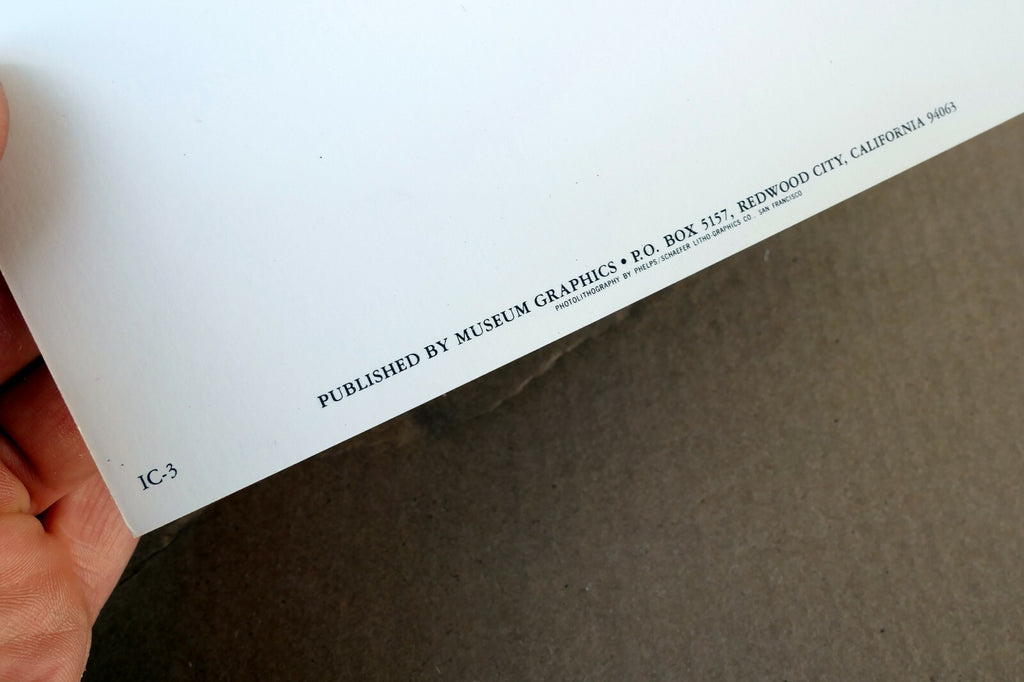 Magnolia Blossom 1925 Photograph by Imogen Cunningham POSTCARD IC-3 Floral