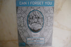 Can I Forget You 1937 by Jerome Kern from High, Wide And Handsome