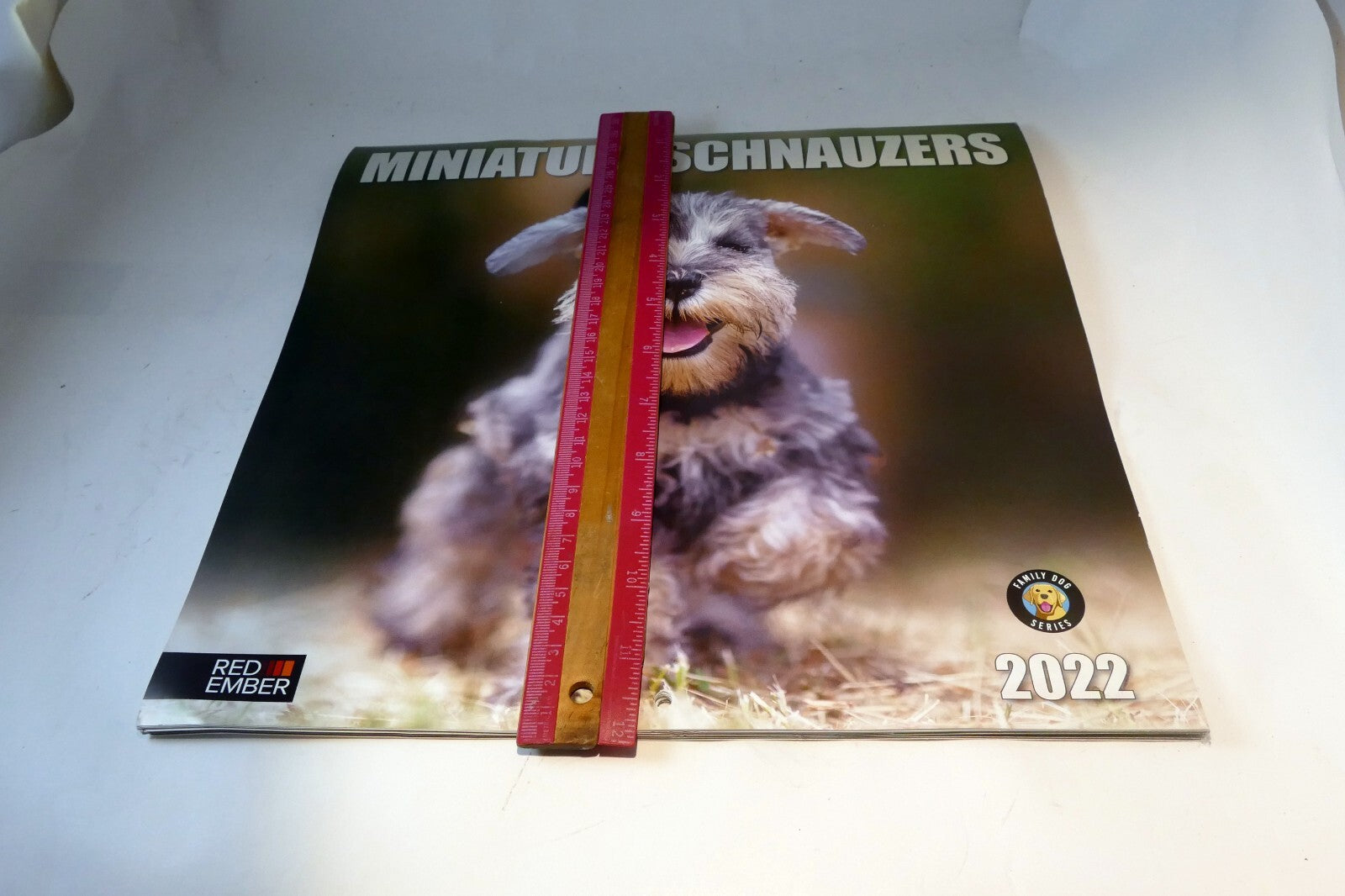 2022 Miniature Calendar puppy dog pics Red Ember family series