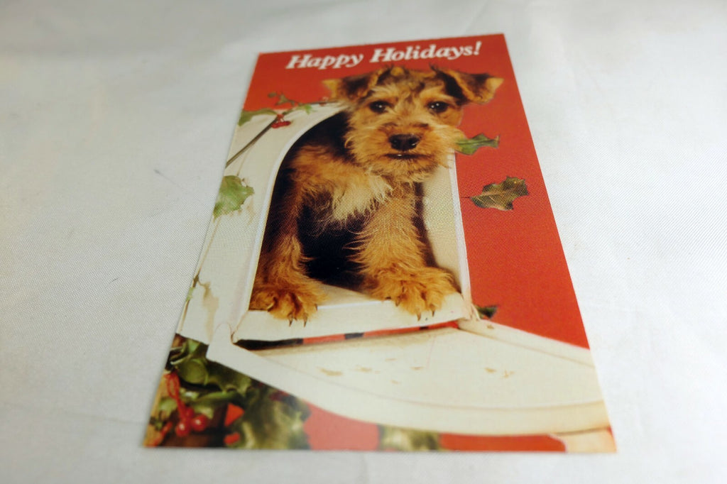 Happy Birthday Postcard Animal Shelter North Shore League Puppy Terrier adopt