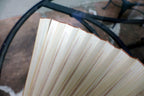 Japanese Hand FOLDING FAN, Bamboo with Cricket hand painted