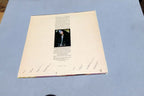 SCARLET  RIVERA - LP - Self Titled - Warner Bros. BS 3060 1979 VG