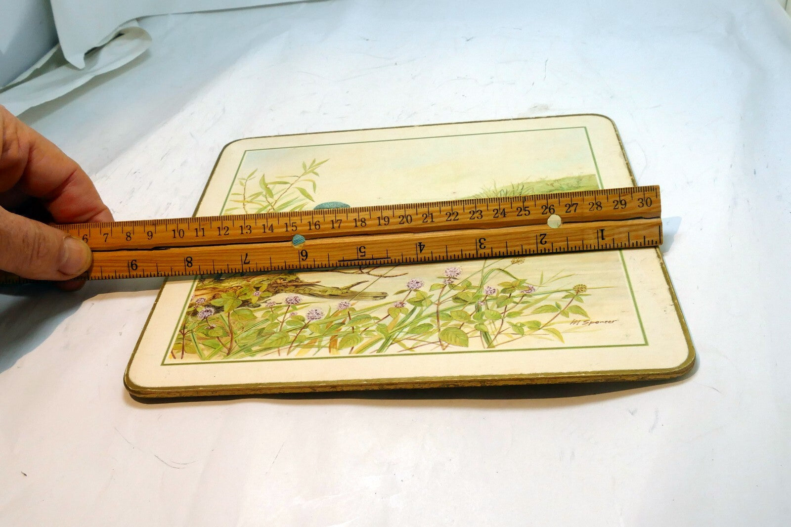 King Fisher Placemat  Mat 7X8" by M. Spencer Birds - vintage