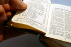 Das Neue Testament 1950 Stuttgart German Bible Translated By D. Martin Luther