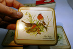 Pimpernel Beverage Coasters Wild Birds Set of 5 Square 4"  England European pack