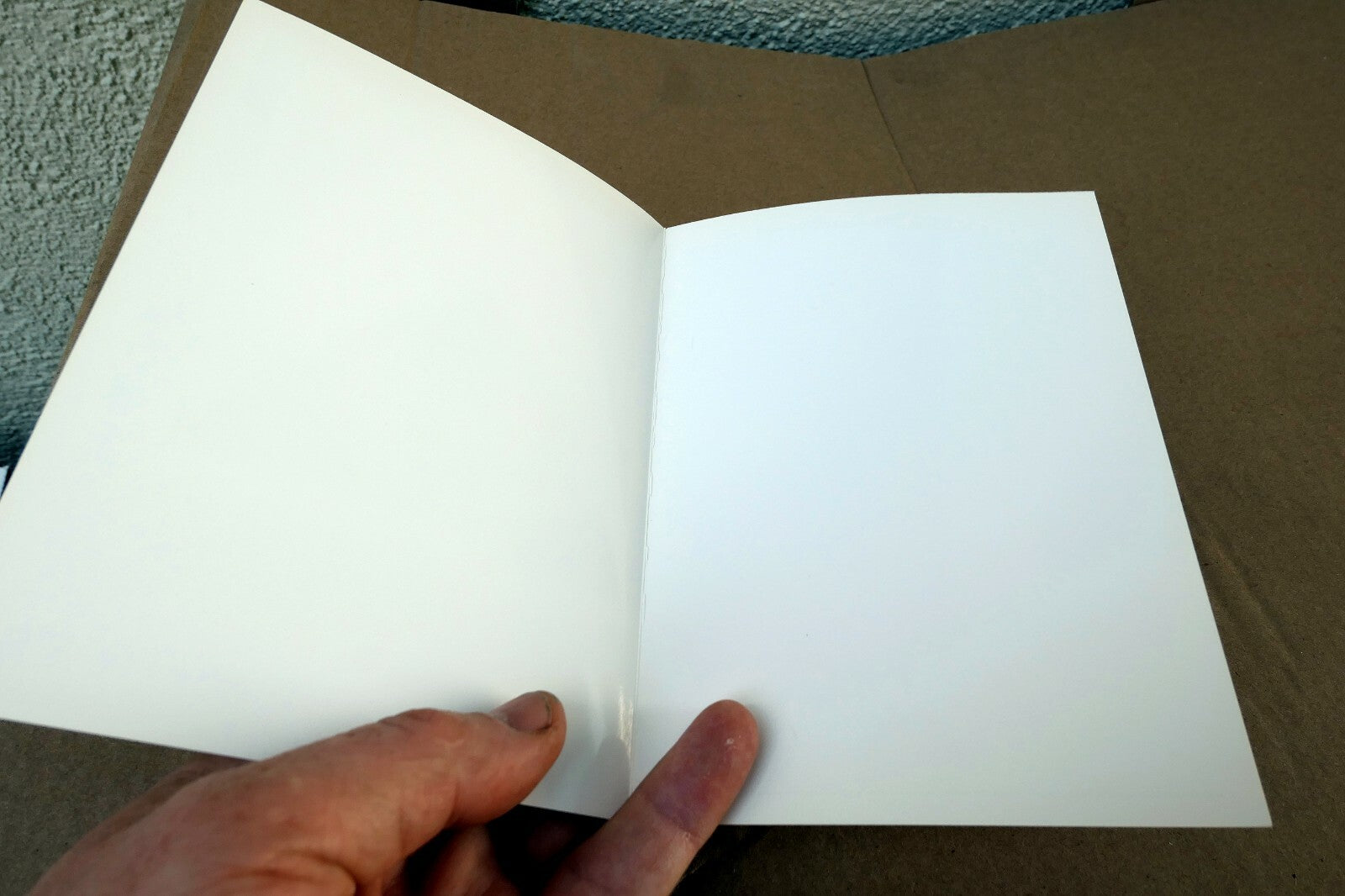 1976 Succulent Flower blossom Photograph by Don Worth D-001 greeting card