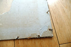 Lu Lu Biscut Poster only upper half Firmin Bouisset COOKIES 1930 - AS IS damaged