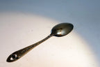 Aquatarium Aquarium Souvenir Spoon Dolphin Steel Collectible Vancouver Aquarium