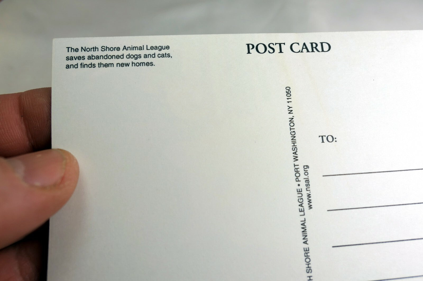 Postcard Animal Shelter North Shore League Adopt a Pet Kitten Cat vintage 1980's