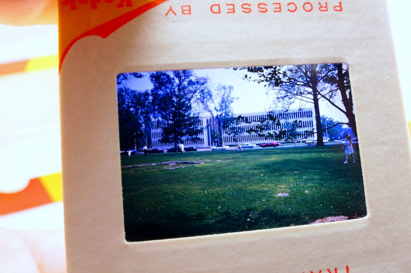 Kodak Slides 1968 Jennings Law UC Berkeley school graduation  pictures