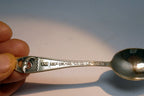 Aquatarium Aquarium Souvenir Spoon Dolphin Steel Collectible Vancouver Aquarium