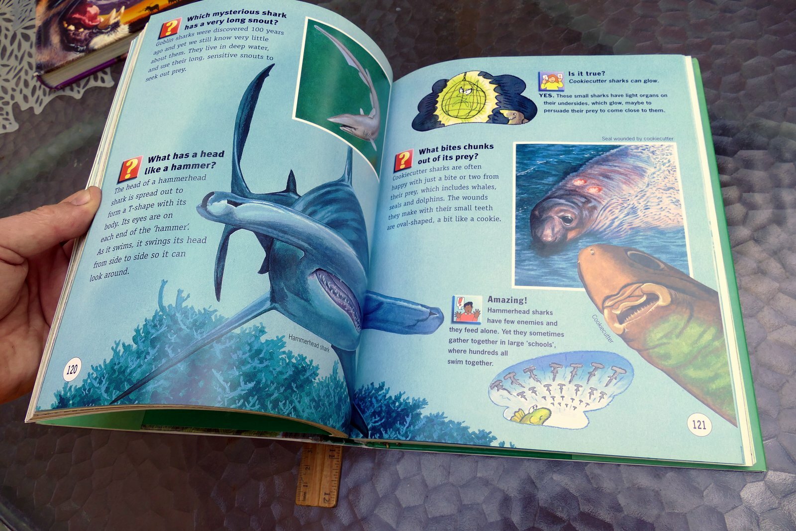 Questions and Answers Wild Wild World (Hardcover) Book Dangerous Exciting Animal