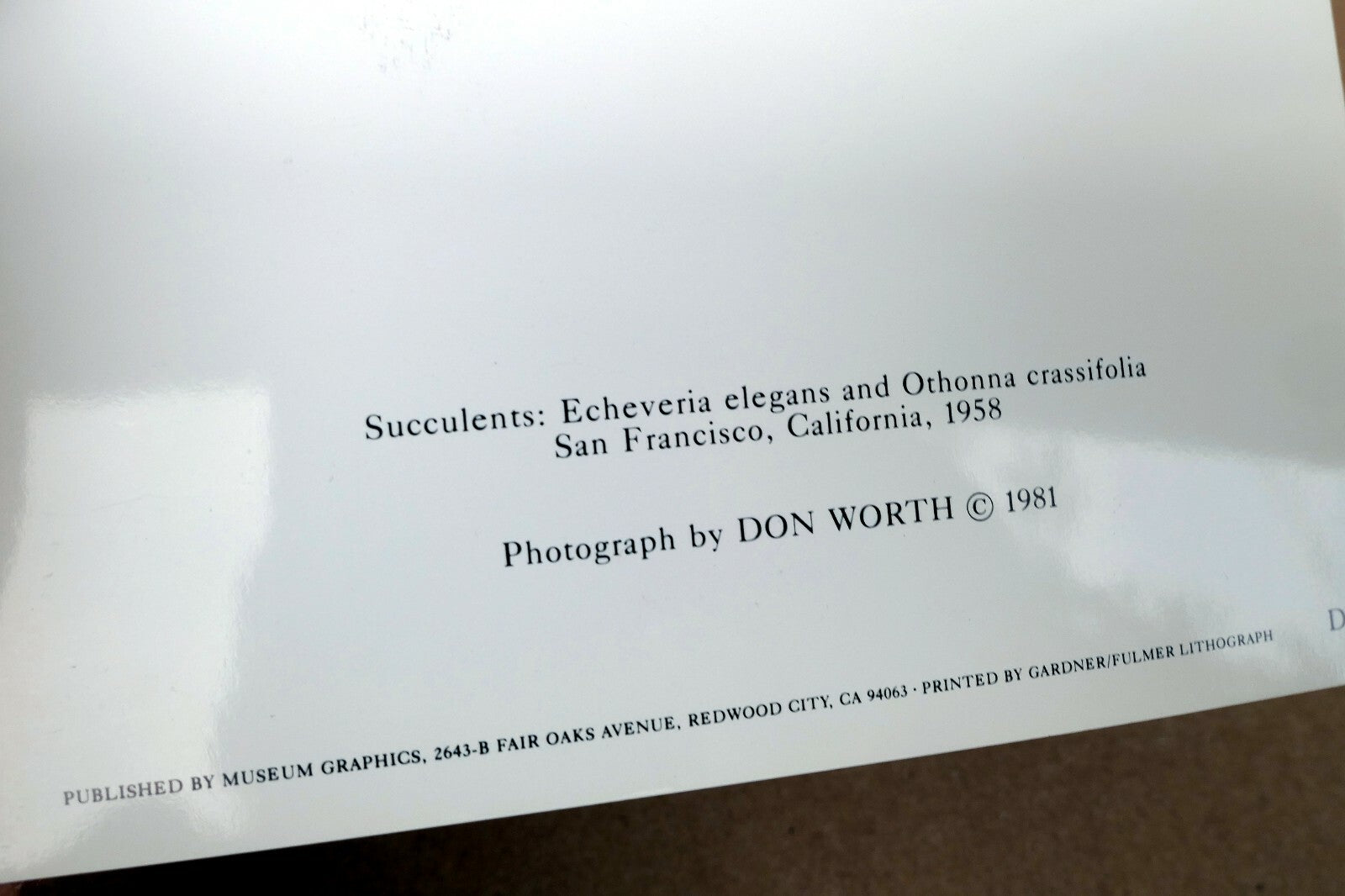 1958 Succulent Flower blossom Photograph by Don Worth Greeting Card D-007 Floral