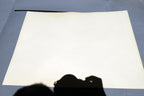1966 Audubon Print CEDAR WAXWING, print plate # 43 15X20" medium