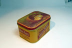 BON AMI SOAP Tin Bristol Ware 1983 Baby Chickens metal empty container 4"