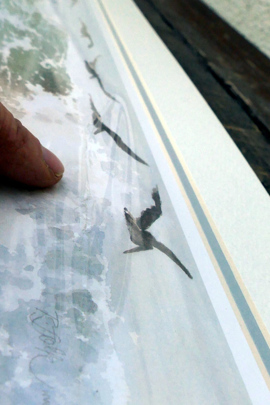 3X18" shorebirds pelicans flying Print R. folk NWS